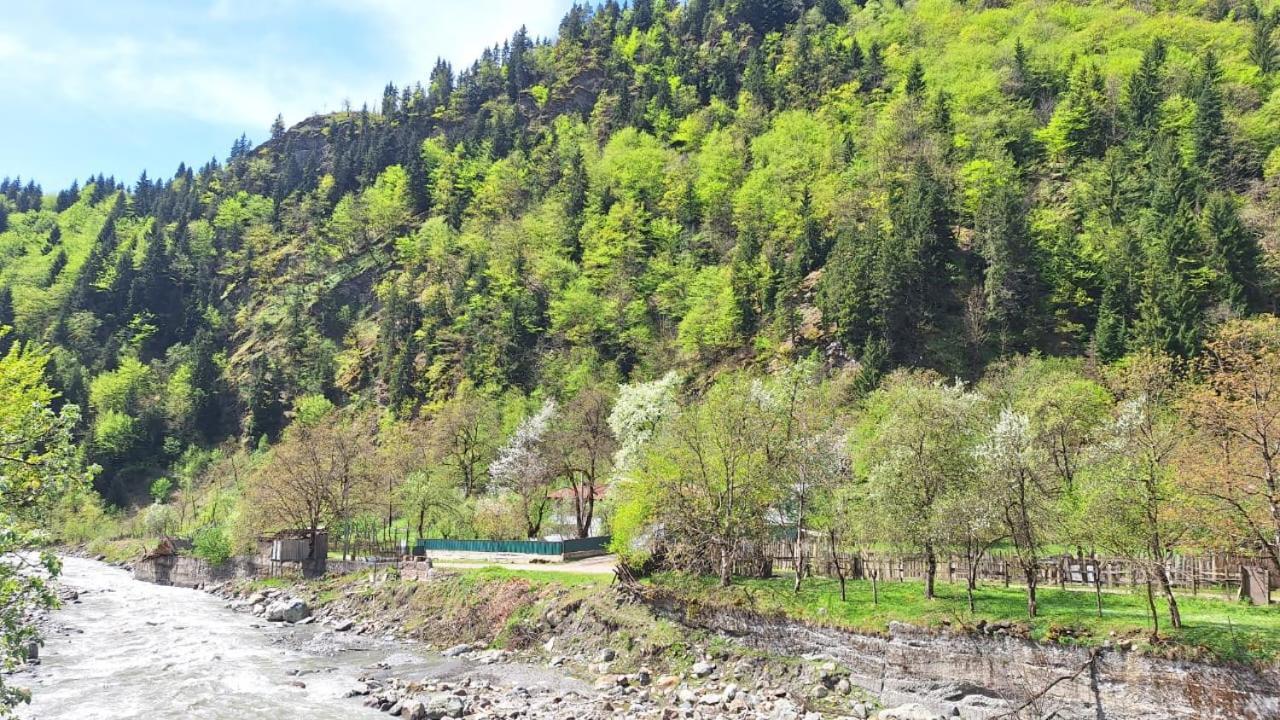 Guest House "Svaneti" Lentekhi Exterior photo