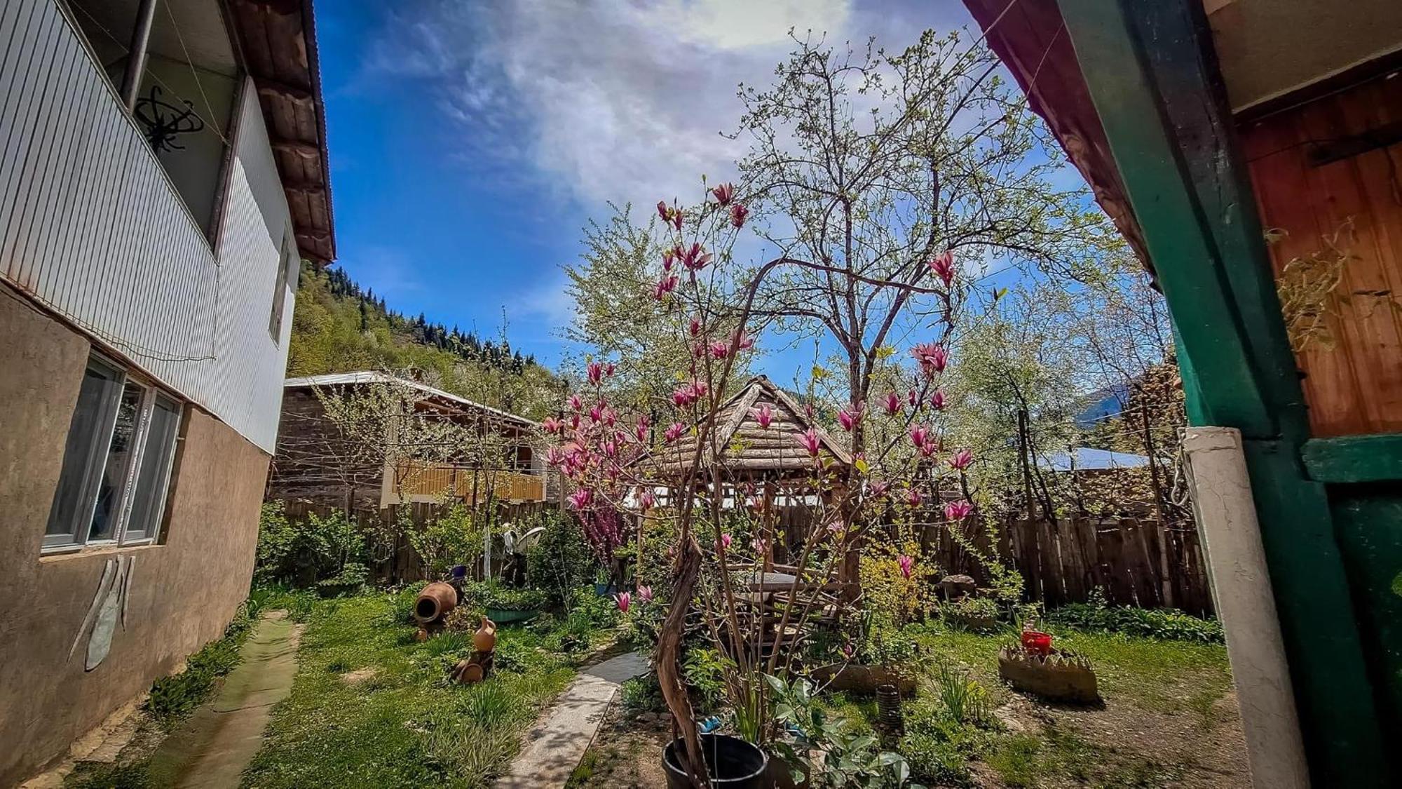 Guest House "Svaneti" Lentekhi Exterior photo